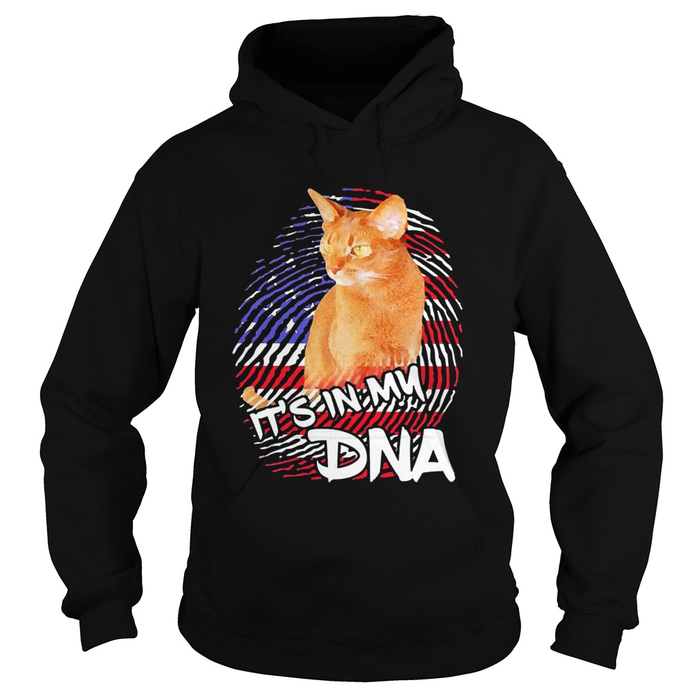 Good Cat Its In My DNA American  Hoodie