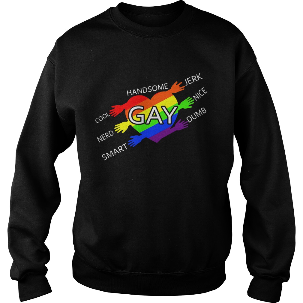 Handsome Gay Cool Jerk Nerd Nice Smart Dumb  Sweatshirt