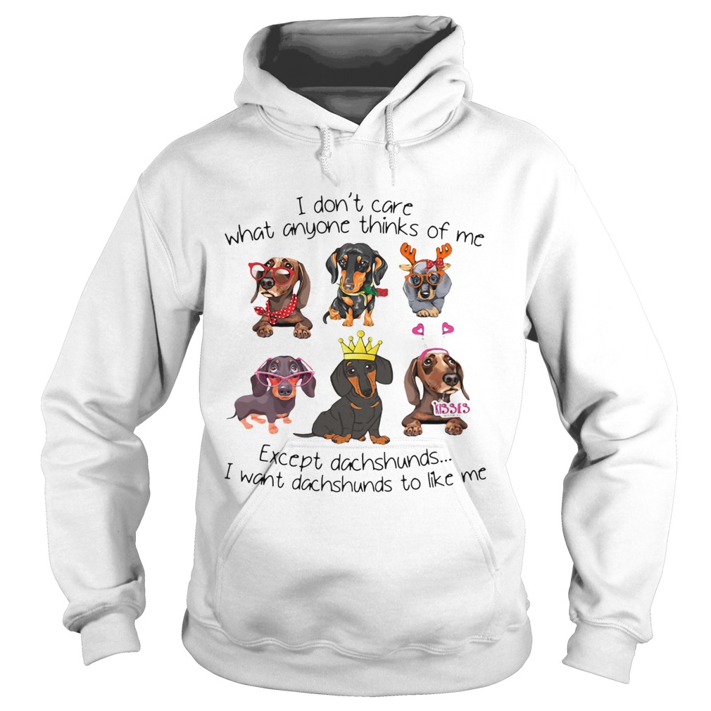 I Dont Care What Anyone Thinks Of Me Except Dachshunds I Want Dachshunds To Like Me  Hoodie