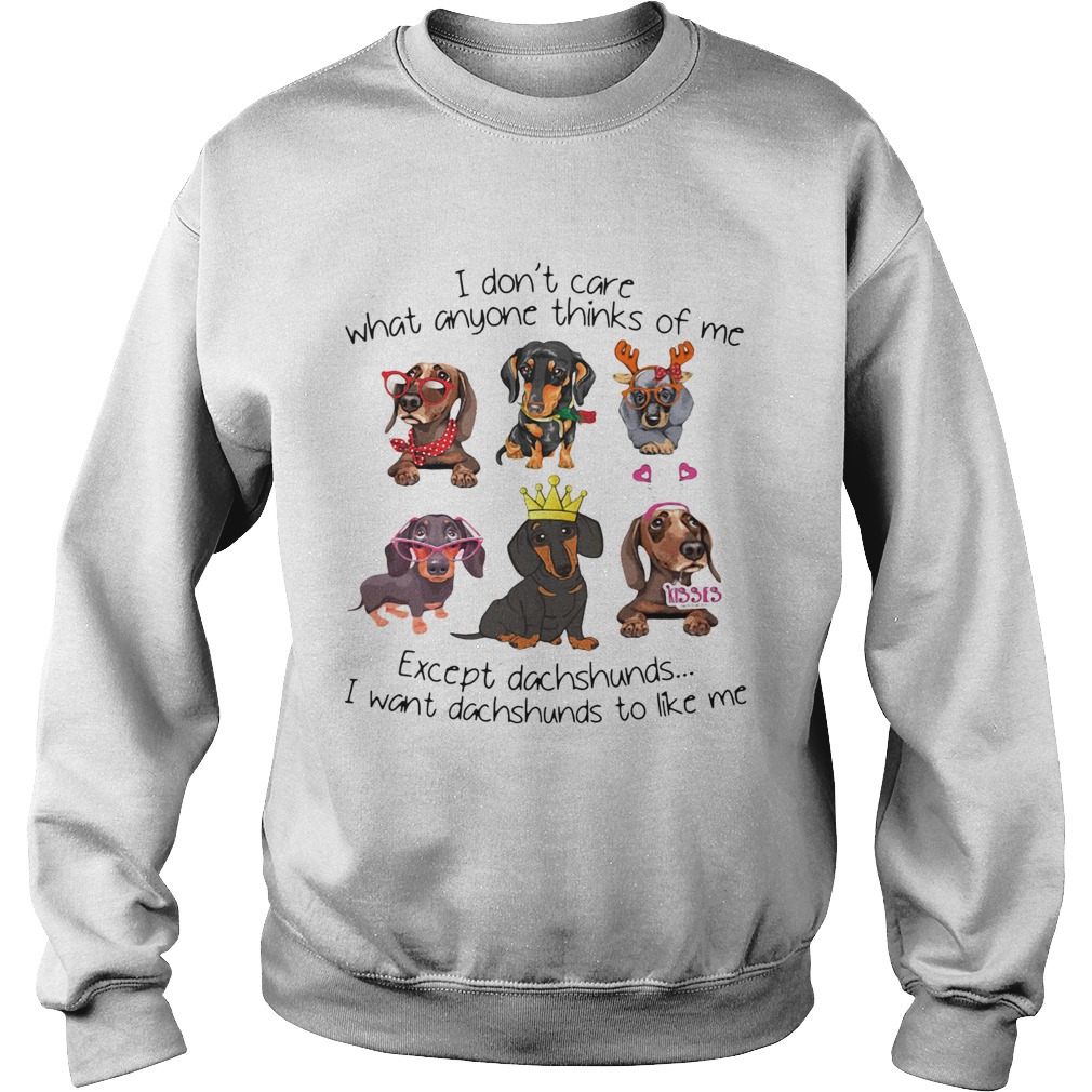 I Dont Care What Anyone Thinks Of Me Except Dachshunds I Want Dachshunds To Like Me  Sweatshirt