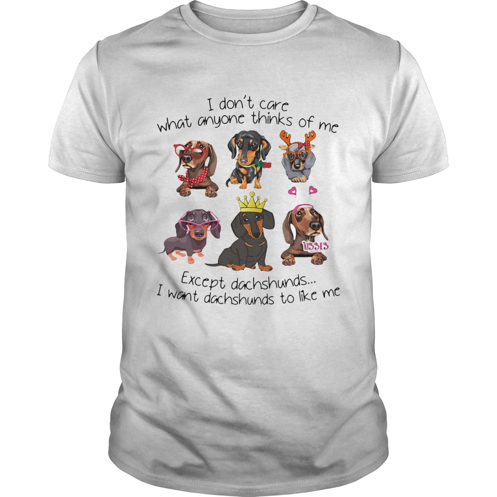 I Dont Care What Anyone Thinks Of Me Except Dachshunds I Want Dachshunds To Like Me  Unisex