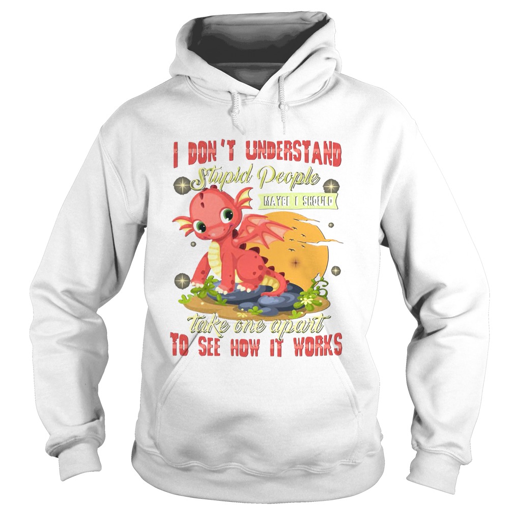 I Dont Understand Stupid People Take One Apart To See How It Works Fire Dragon  Hoodie