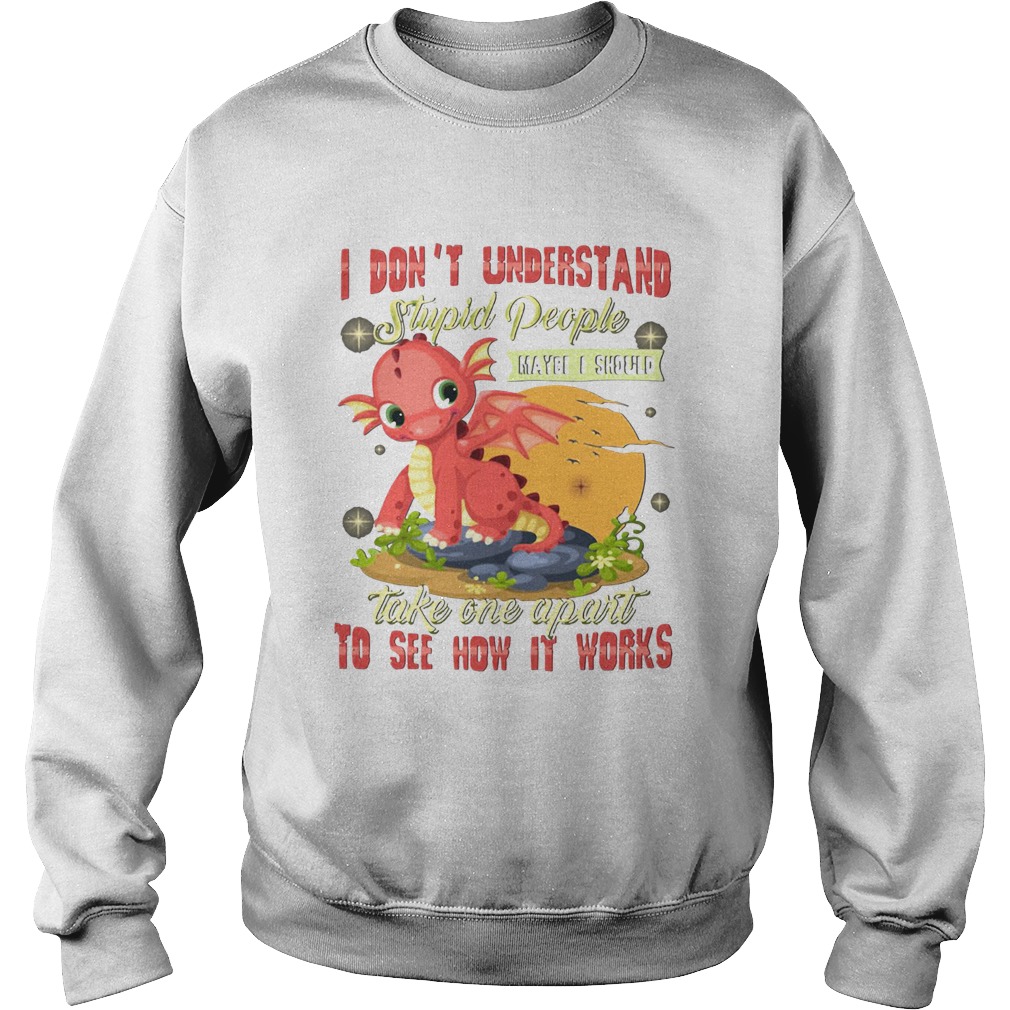 I Dont Understand Stupid People Take One Apart To See How It Works Fire Dragon  Sweatshirt