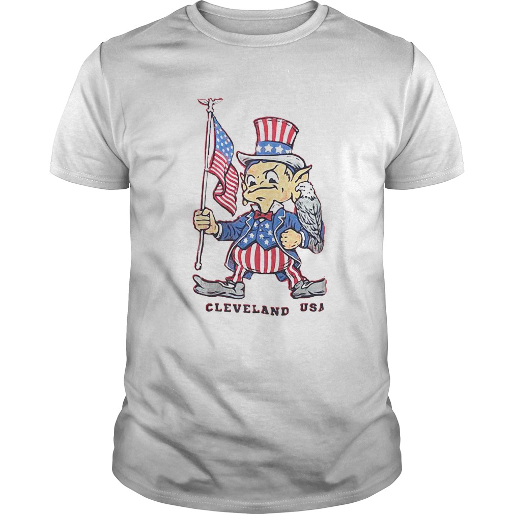 Independence day flag eagles cleveland USA shirt