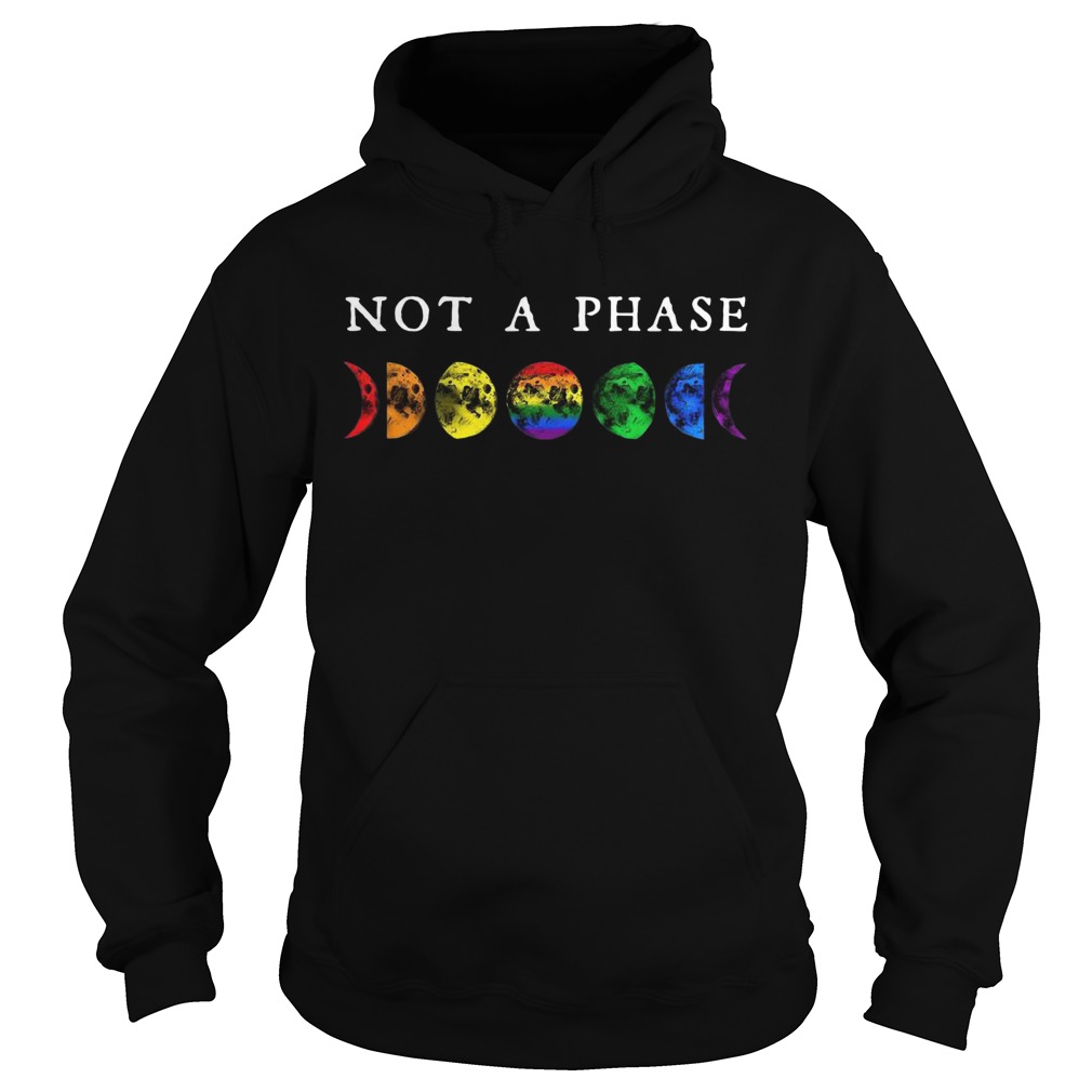 Lgbt Moon Phase Not A Phase  Hoodie