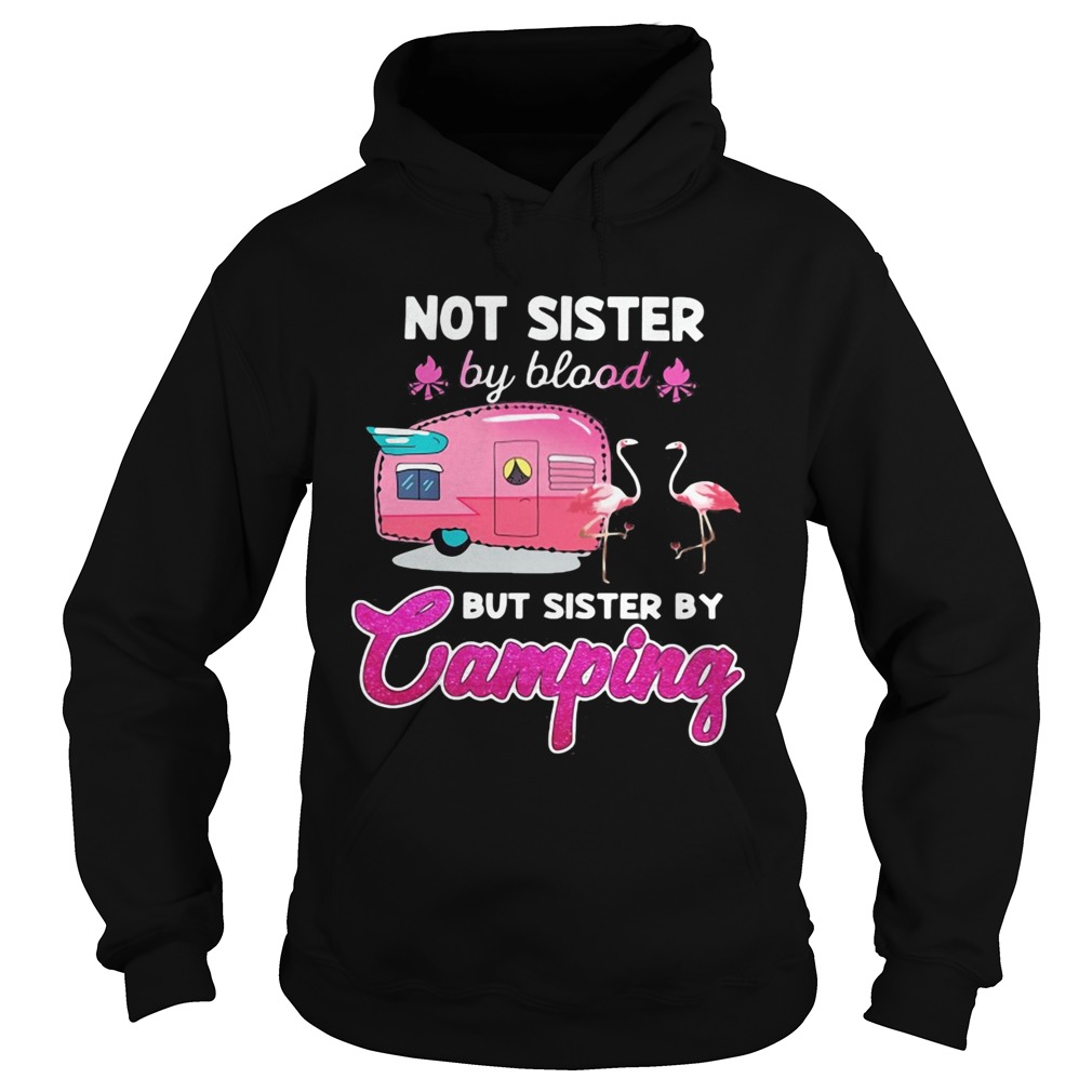 Not sister by blood but sister by camping flamingo  Hoodie