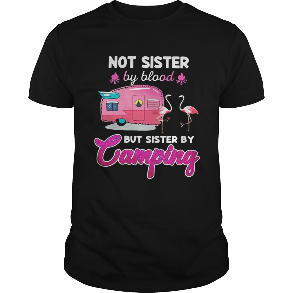 Not sister by blood but sister by camping flamingo  Unisex