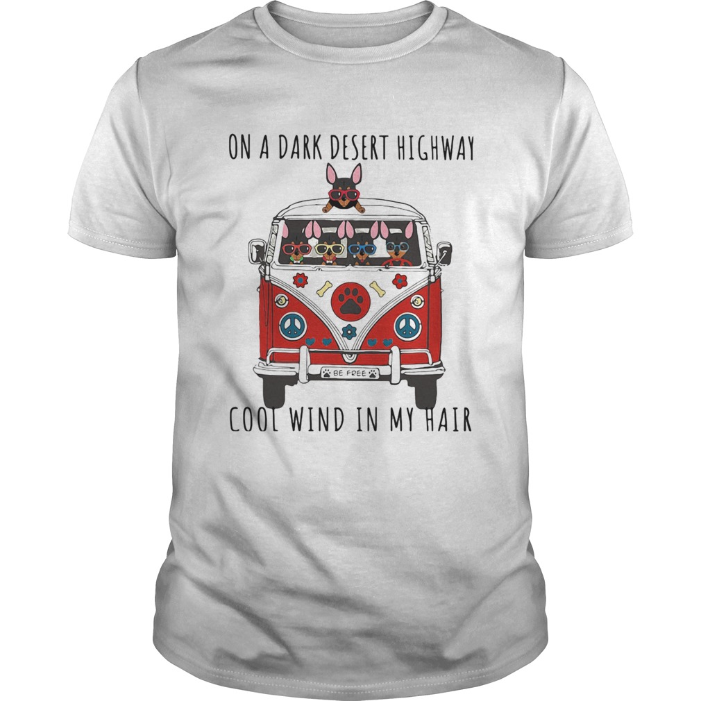 ON A DARK DESERT HIGHWAY DOG FEEL COOL WIND IN MY HAIR BE FREE CAR shirt