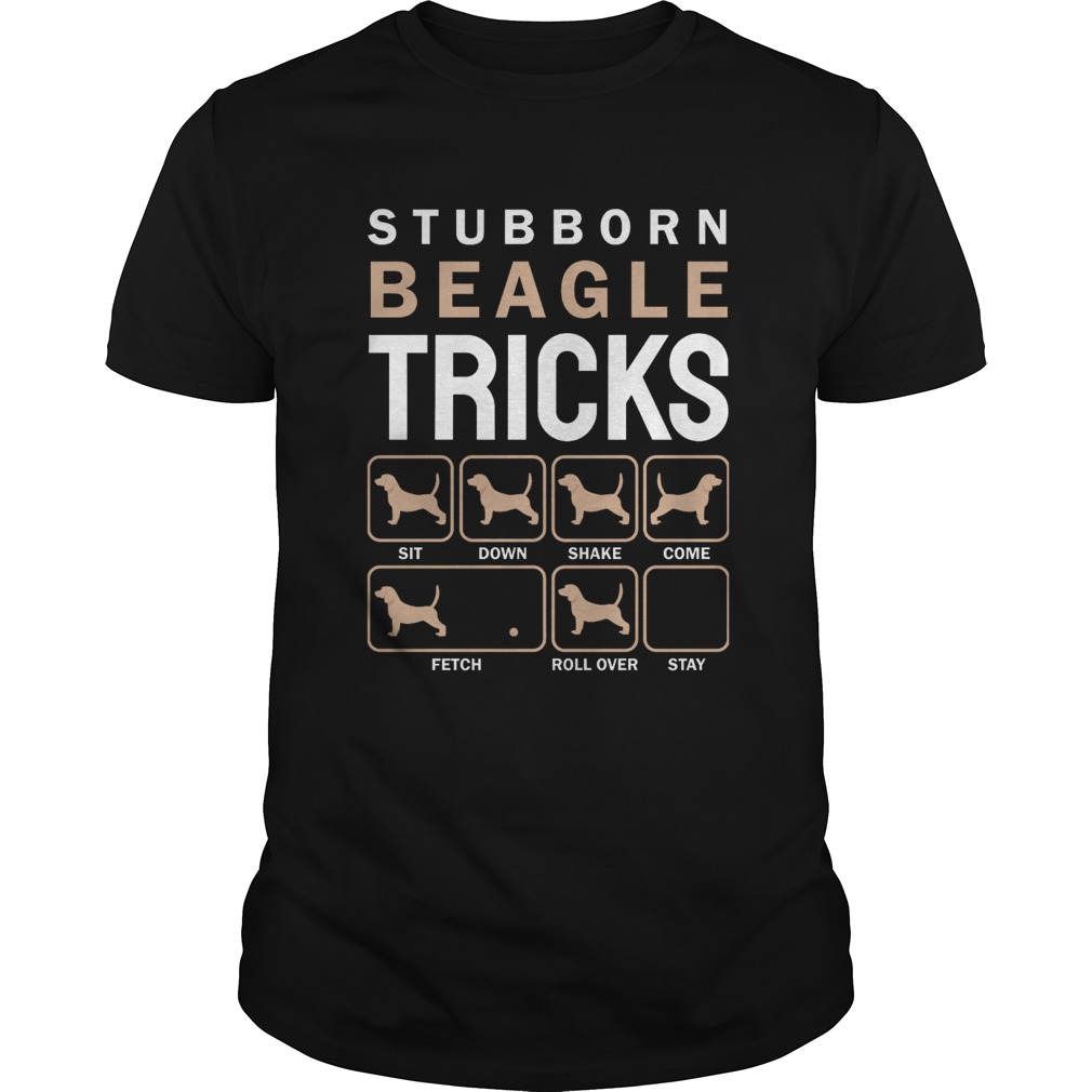 Stubborn beagle tricks sit down share come fetch roll over stay shirt