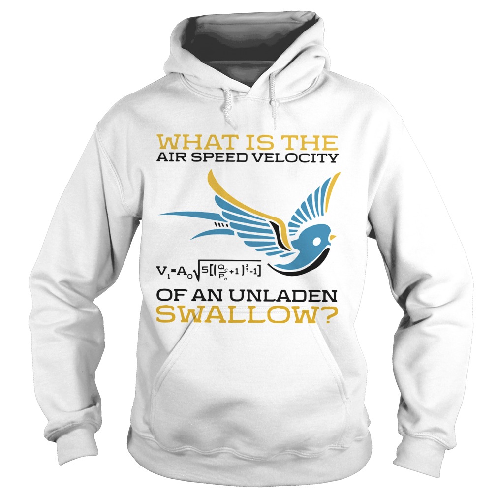 What Is The Air Speed Velocity Of An Unladen Swallow Math  Hoodie