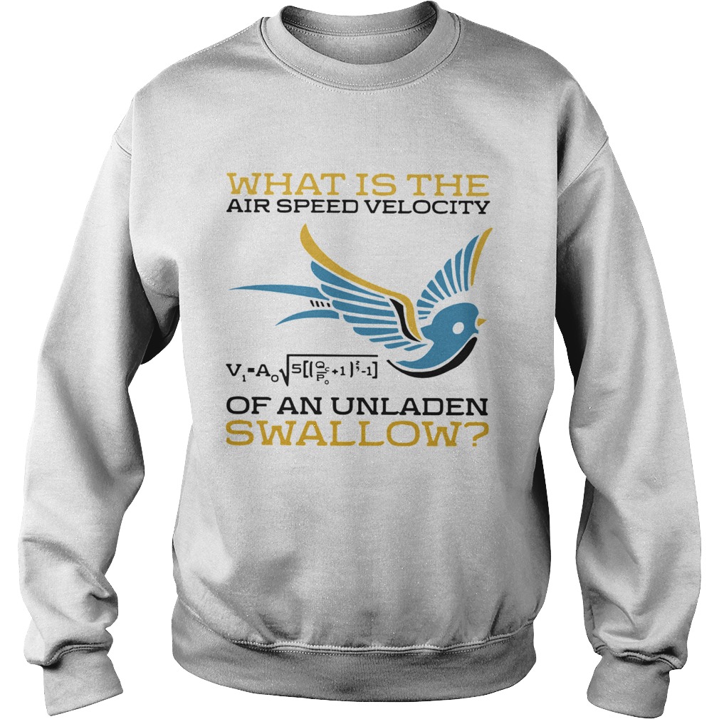 What Is The Air Speed Velocity Of An Unladen Swallow Math  Sweatshirt