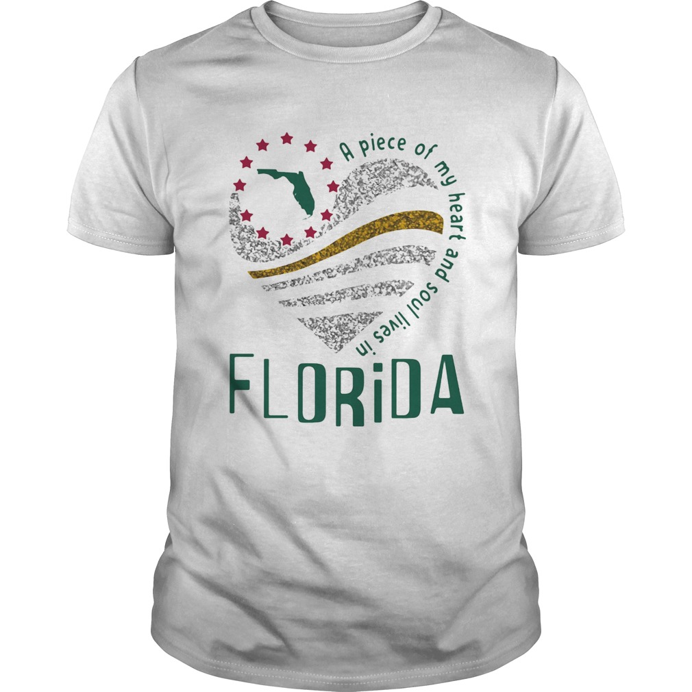 A piece of my heart and soul lives in Florida Map shirt