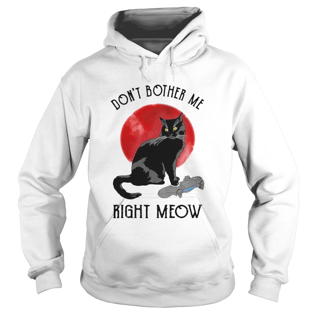 Awesome Cat Dont Bother Me Right Meow  Hoodie