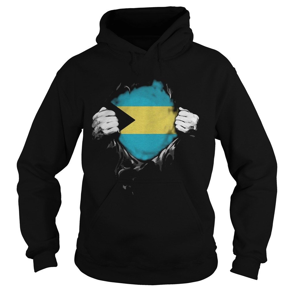 Blood insides the gambia flag  Hoodie