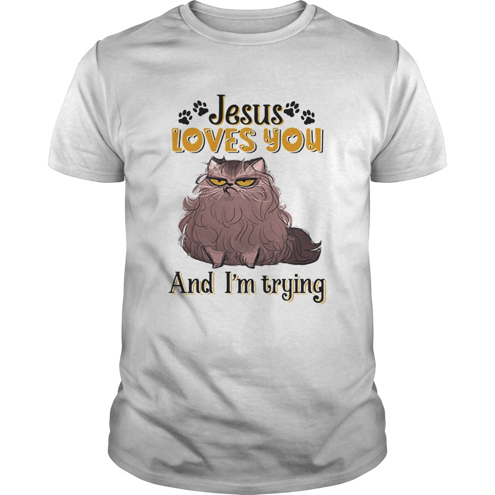 Cat brown jesus loves you and im trying shirt