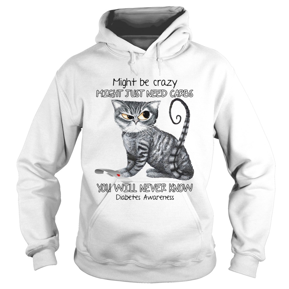 Cat might be crazy might just need carbs you will never know diabetes awareness  Hoodie