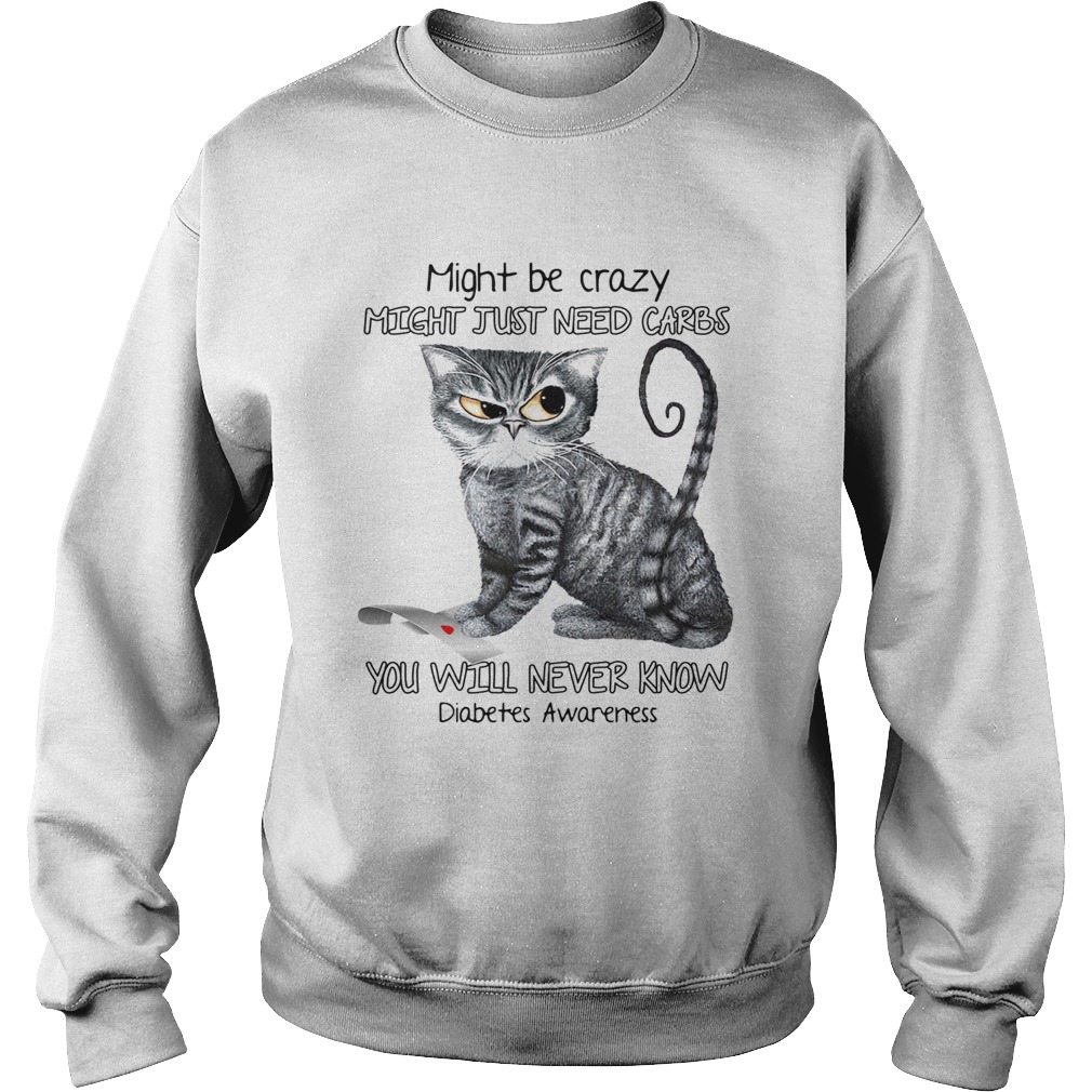 Cat might be crazy might just need carbs you will never know diabetes awareness  Sweatshirt