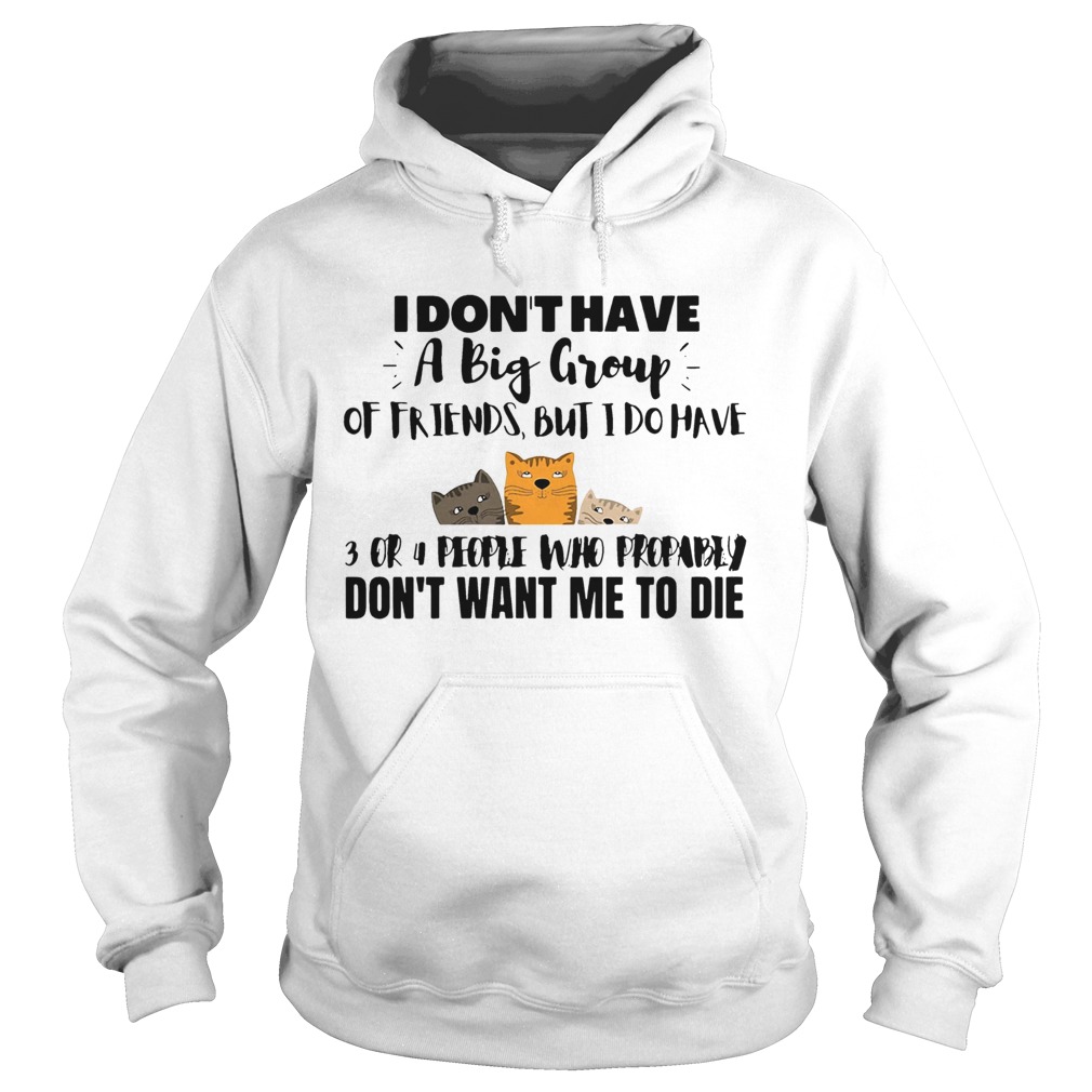 I Dont Have A Big Group Of Friends But I Do Have 3 Or 4 People  Hoodie