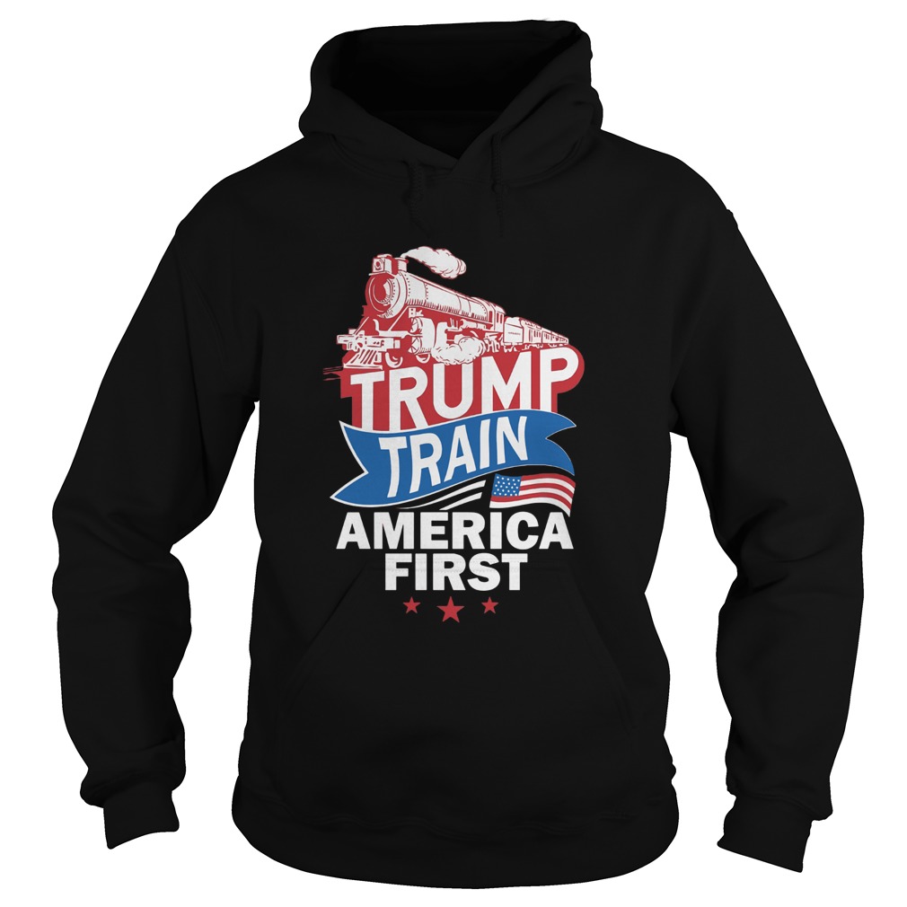 Join The Trump Train  Hoodie