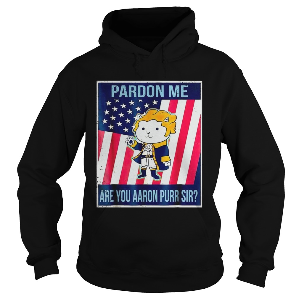 Pardon Me Are You Aaron Purr Sir American Flag  Hoodie