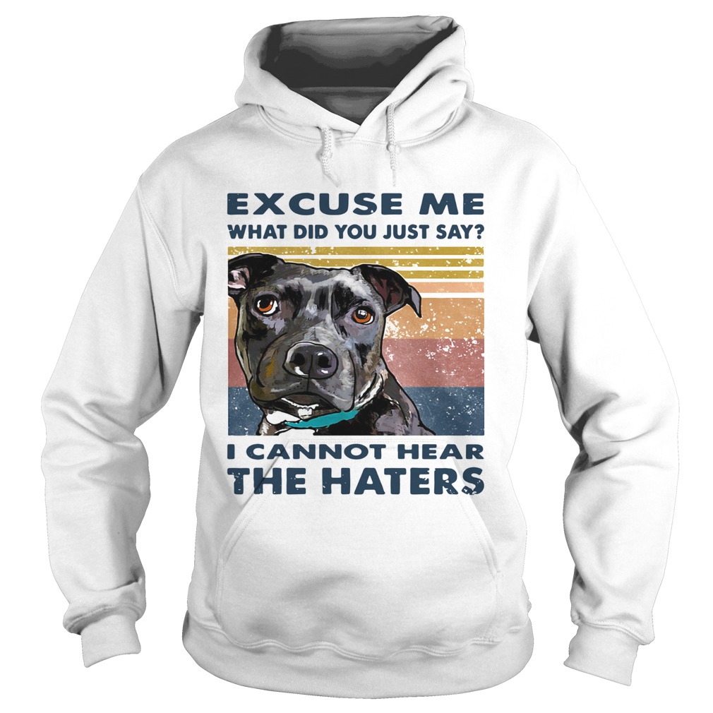 Pitbull Excuse Me What Did You Just Say I Cannot Hear The Haters Vintage  Hoodie