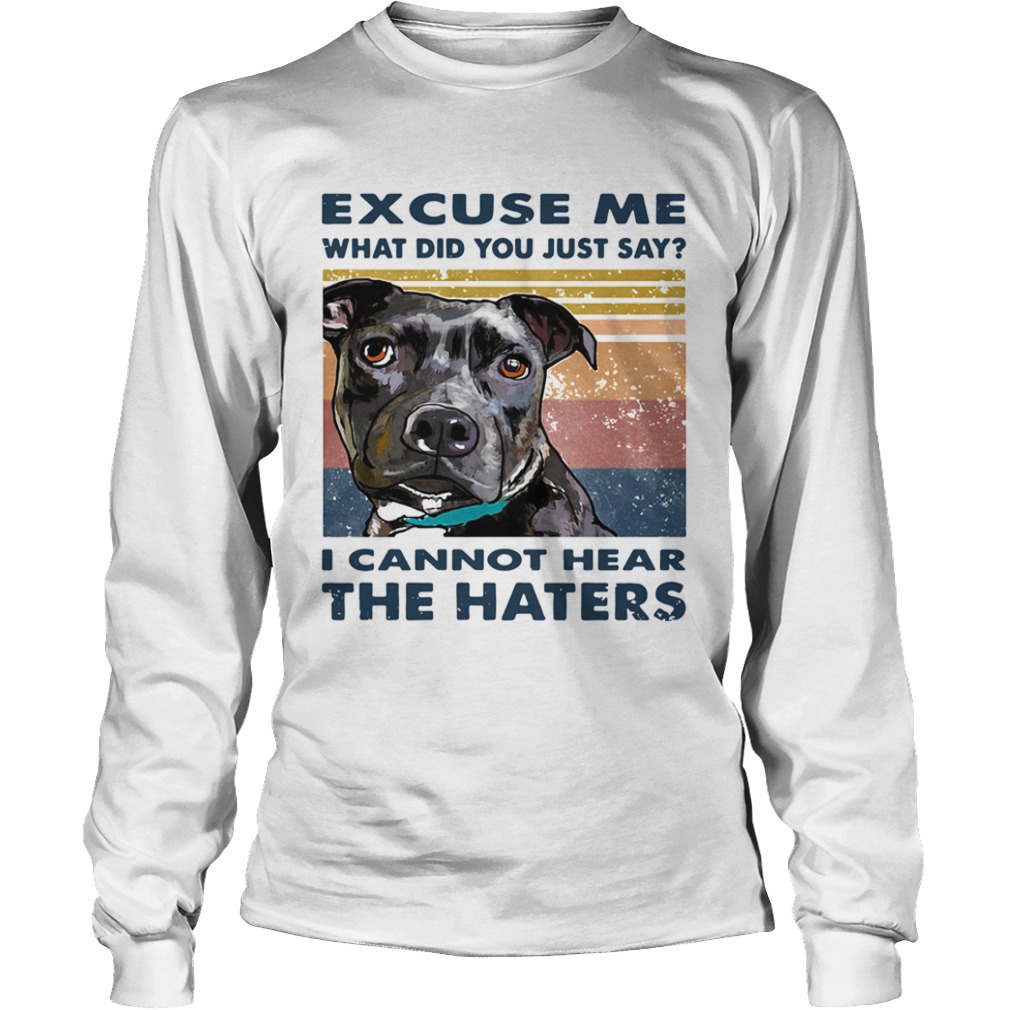 Pitbull Excuse Me What Did You Just Say I Cannot Hear The Haters Vintage  Long Sleeve