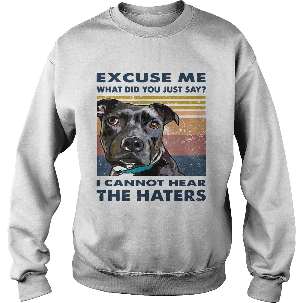 Pitbull Excuse Me What Did You Just Say I Cannot Hear The Haters Vintage  Sweatshirt