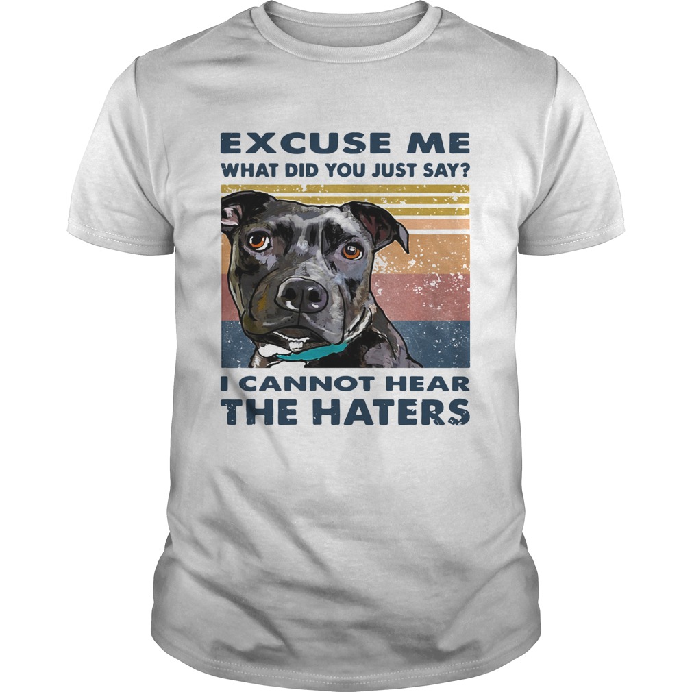 Pitbull Excuse Me What Did You Just Say I Cannot Hear The Haters Vintage  Unisex