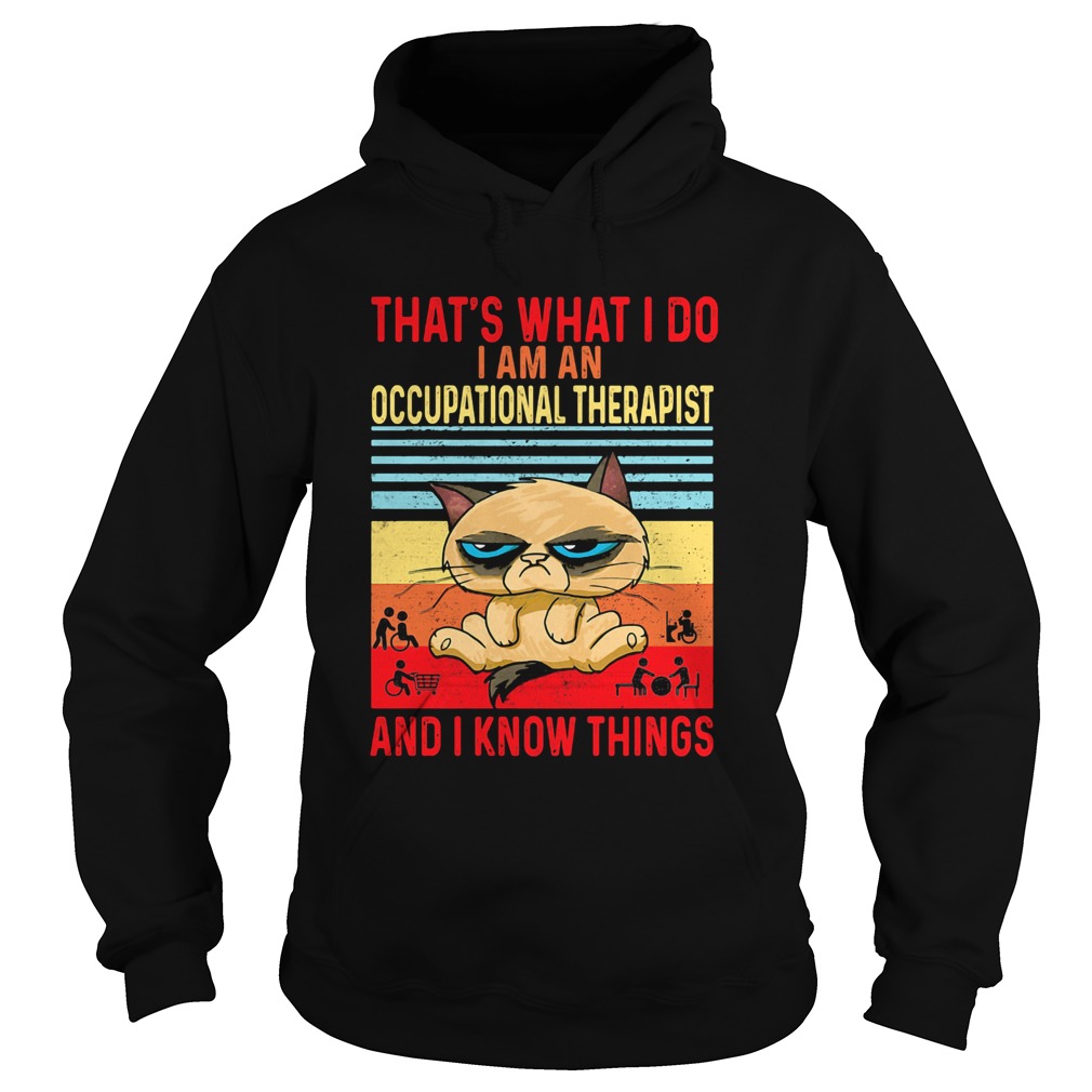 Thats what i do i am an occupational therapist and i know things vintage retro  Hoodie