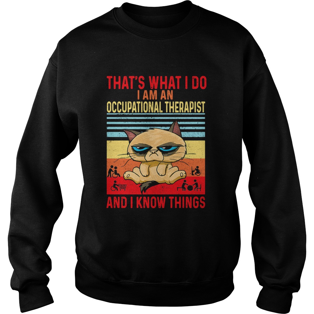 Thats what i do i am an occupational therapist and i know things vintage retro  Sweatshirt