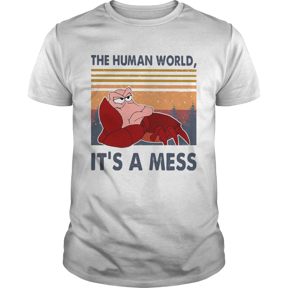 The Human World Its A Mess Vintage shirt