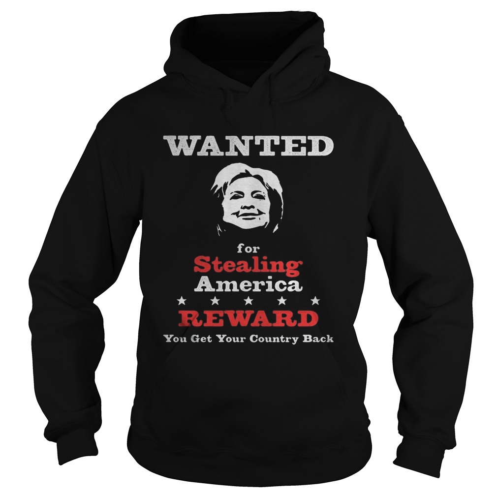 Wanted for stealing america reward you get your country back  Hoodie