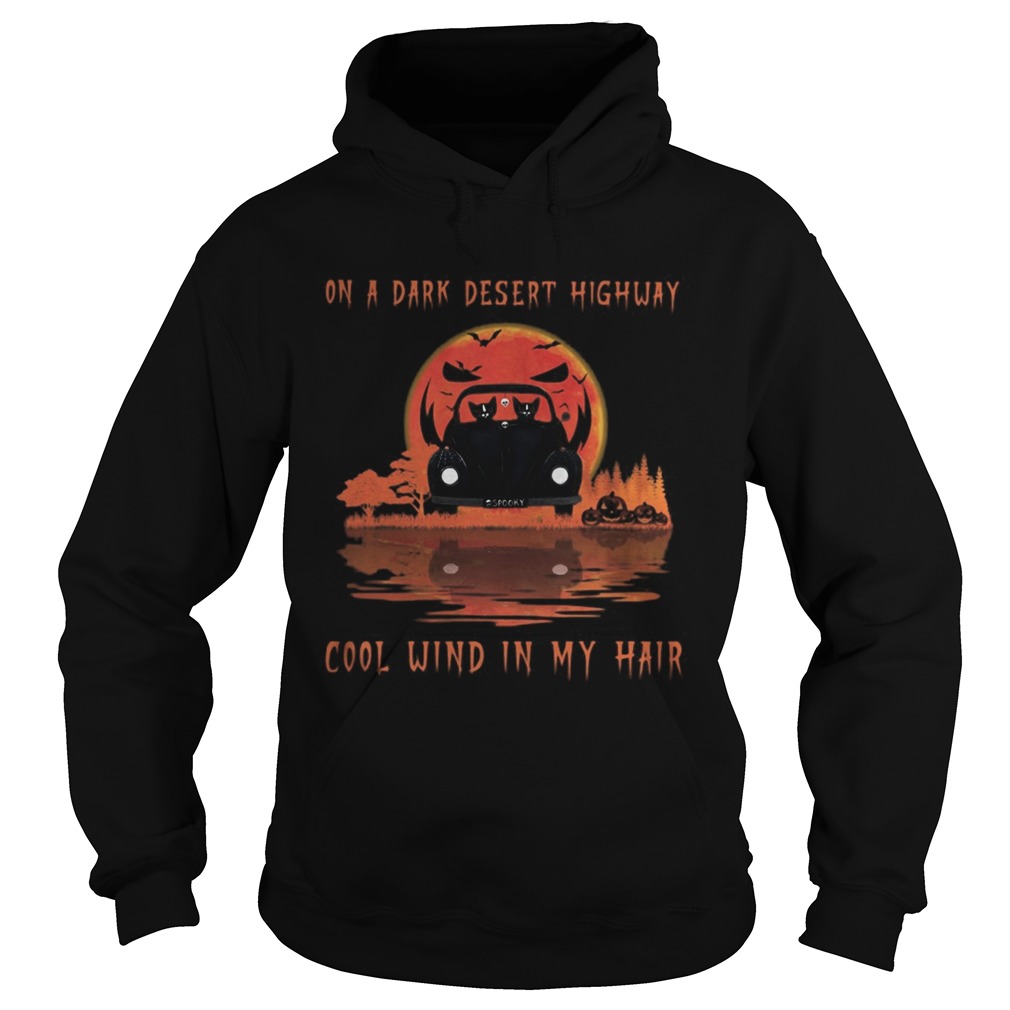 Cat driving car on a dark desert highway cool wind in my hair moon  Hoodie