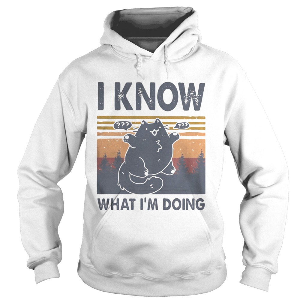 Cat i know what im doing vintage retro  Hoodie