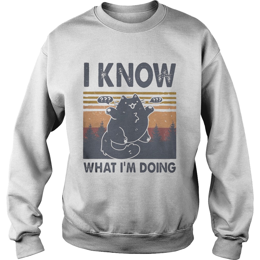 Cat i know what im doing vintage retro  Sweatshirt