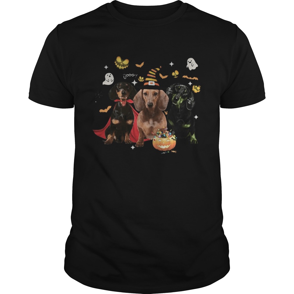 Dachshund Witch Halloween shirt