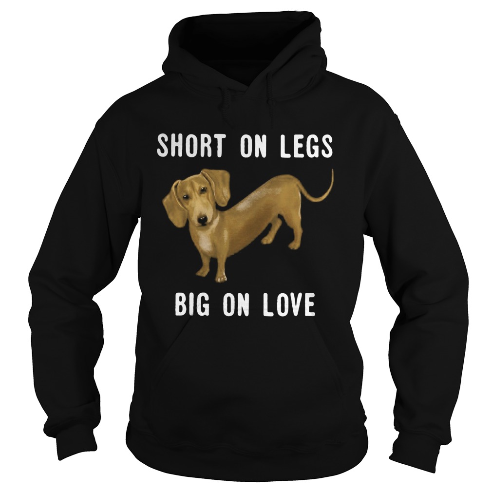 Dachshund short on legs big on love  Hoodie