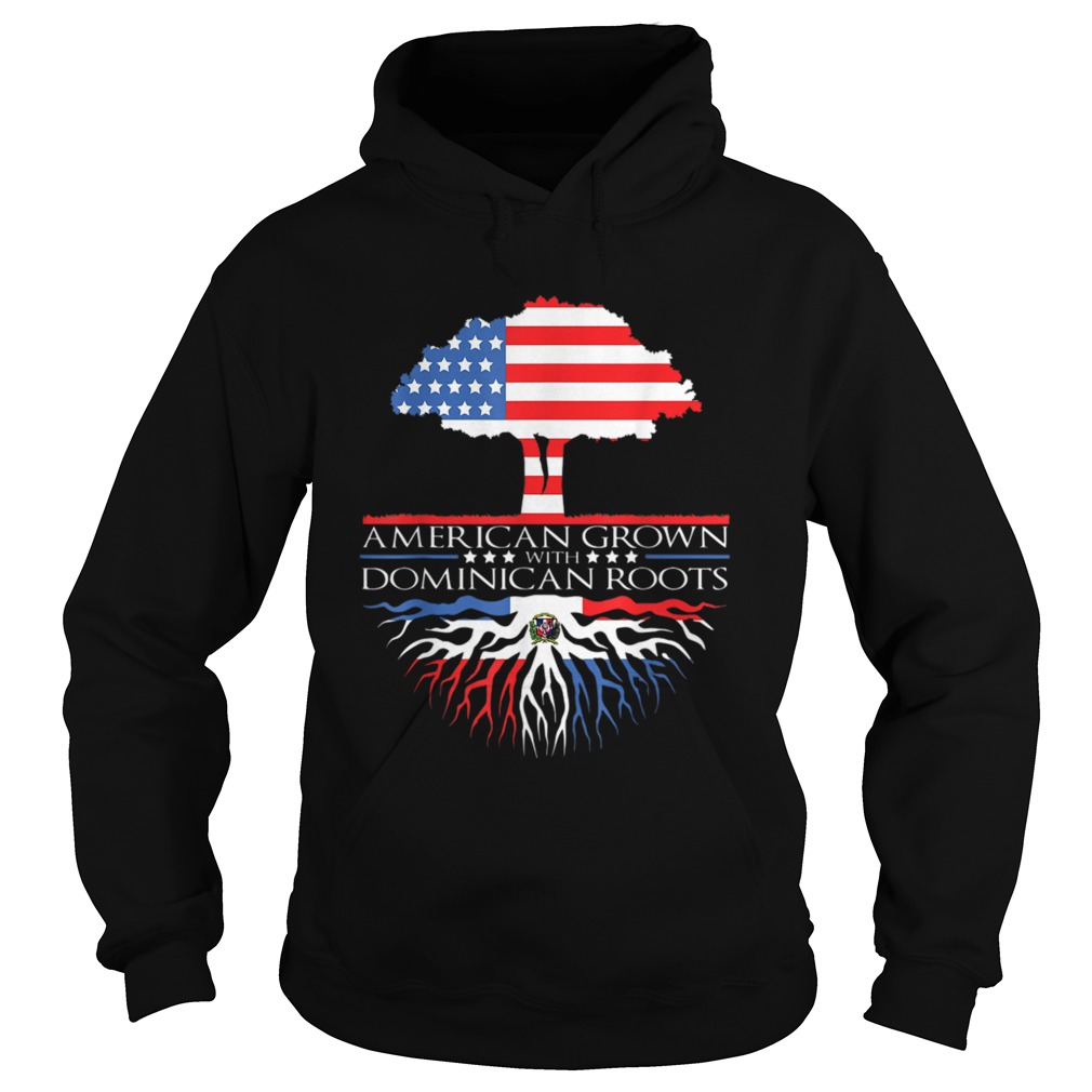 Dominican Republic Roots Flag American Grown  Hoodie