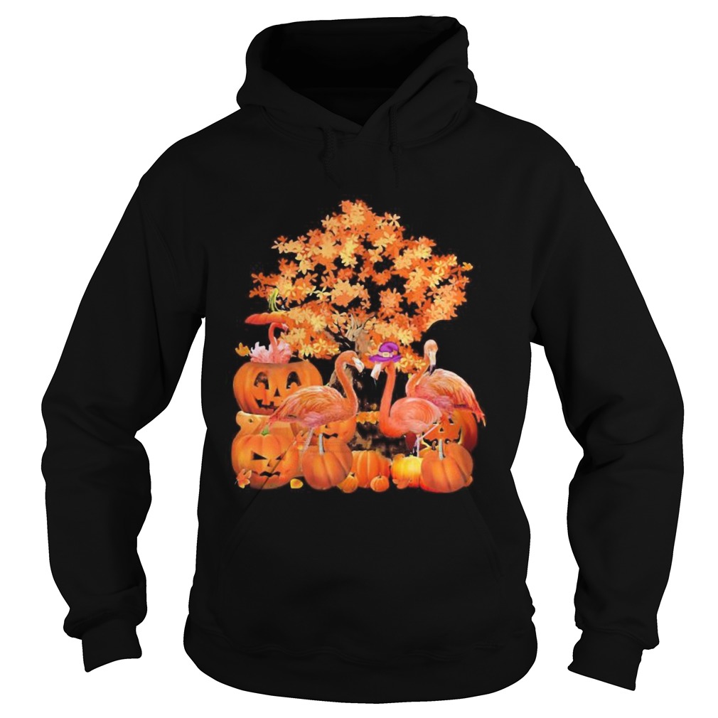 Fall Flamingo Halloween  Hoodie