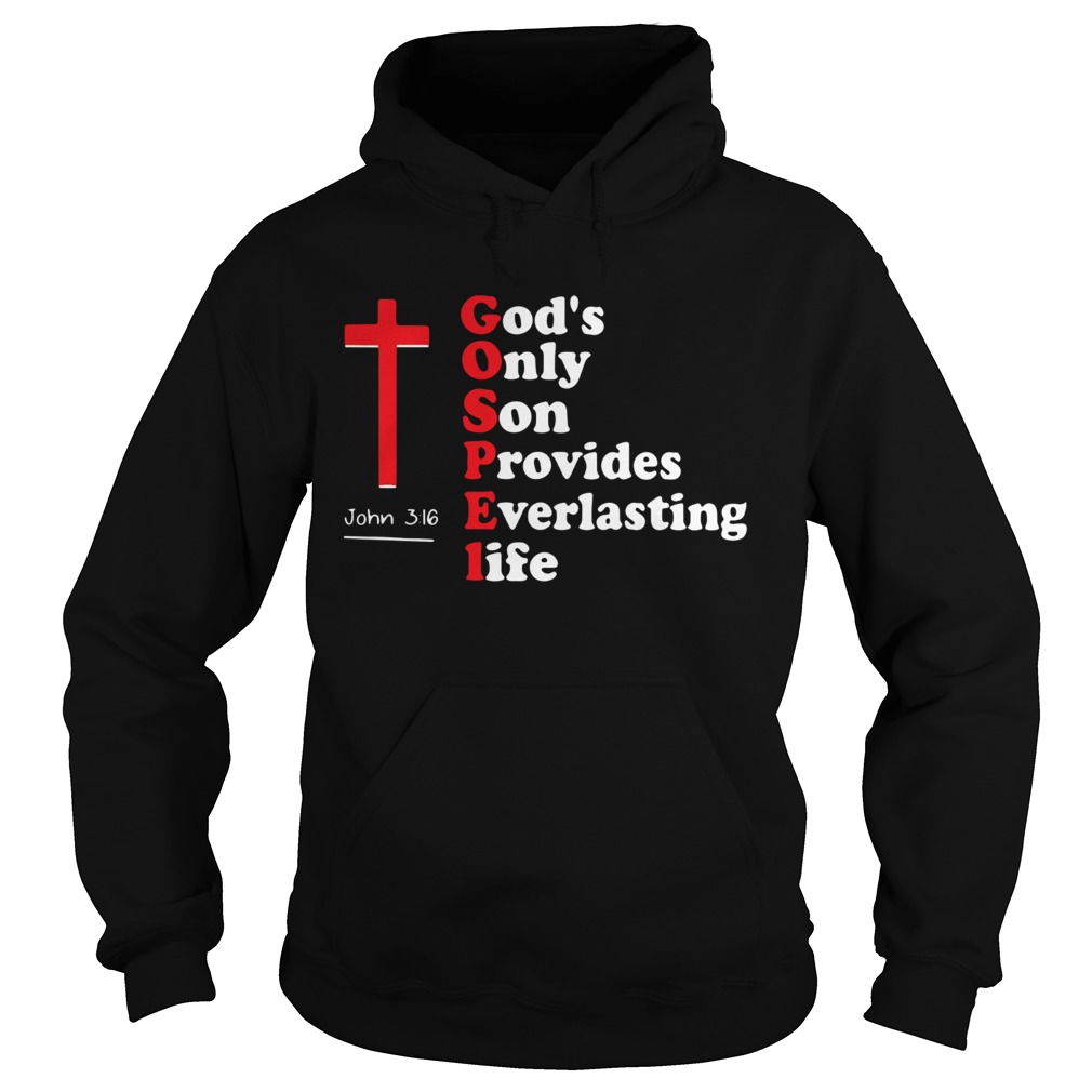 Gods Only Son Provides Everlasting Life John 316  Hoodie