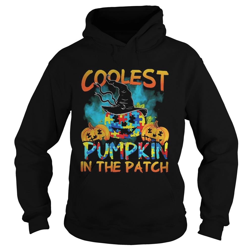 Halloween witch coolest pumpkin in the patch autism  Hoodie