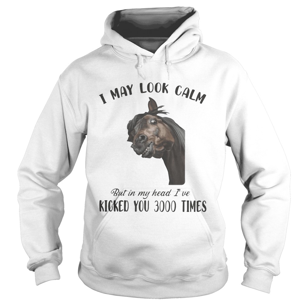 Horse i may look calm but in my head ive kicked you 3000 times  Hoodie