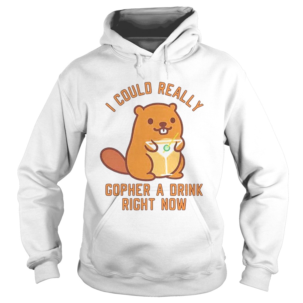 I Could Really Gopher A Drink Right Now  Hoodie