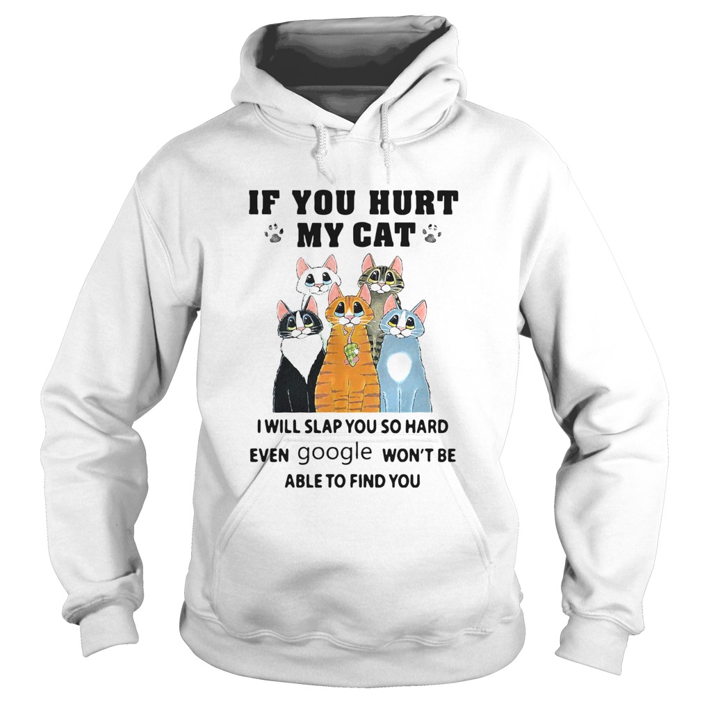 If You Hurt My Cat I Will Slap You So Hard Even Google Wont Be Able To Find You  Hoodie