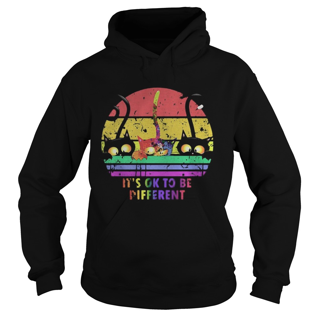 LGBT Cat Its ok to be Different vintage retro  Hoodie