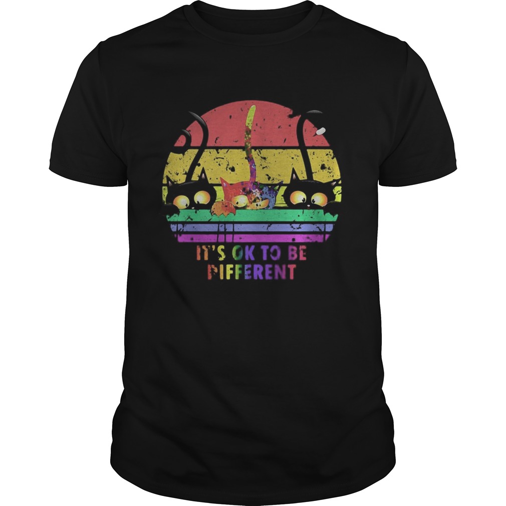 LGBT Cat Its ok to be Different vintage retro  Unisex