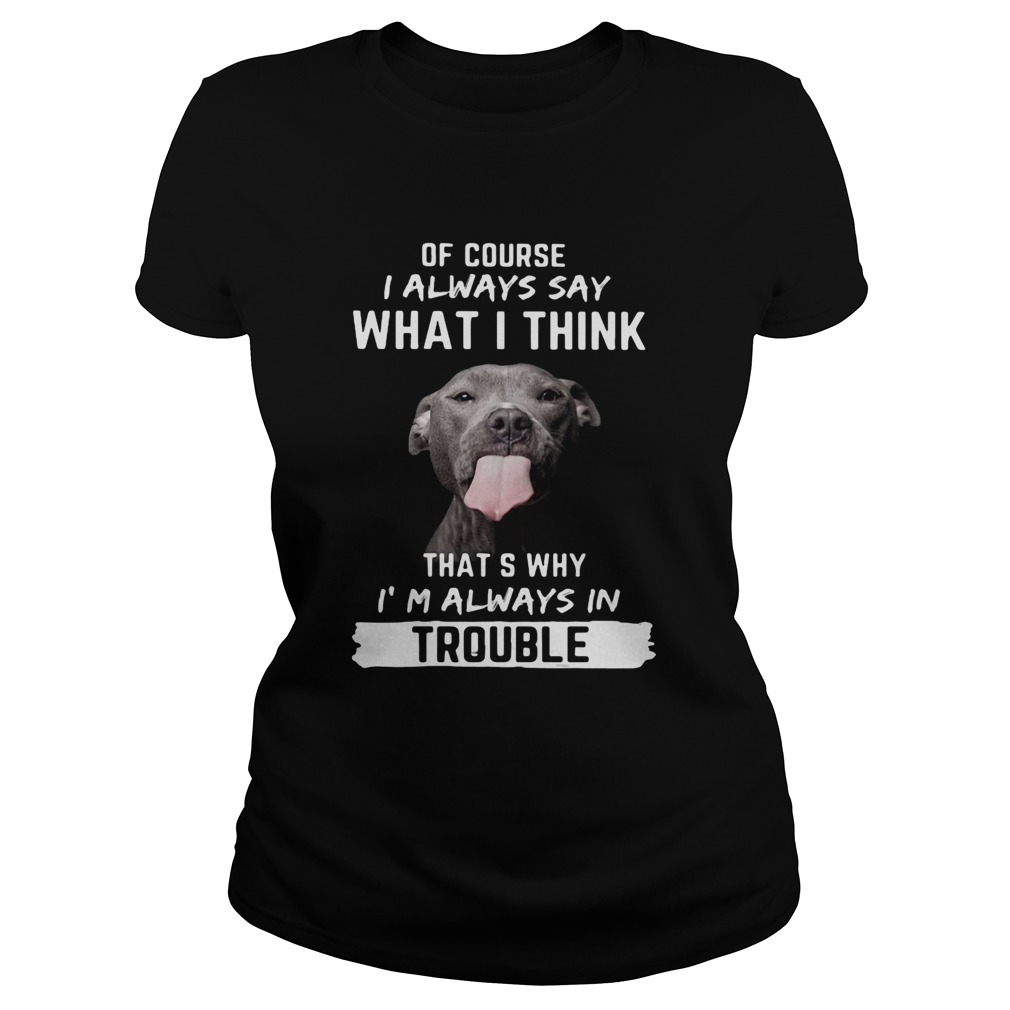 Pitbull of course i always say what i think thats why im always in trouble  Classic Ladies