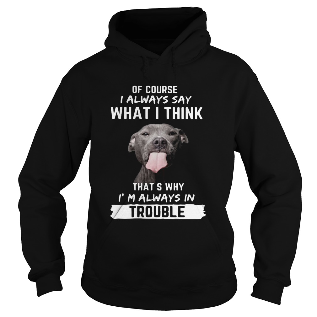 Pitbull of course i always say what i think thats why im always in trouble  Hoodie