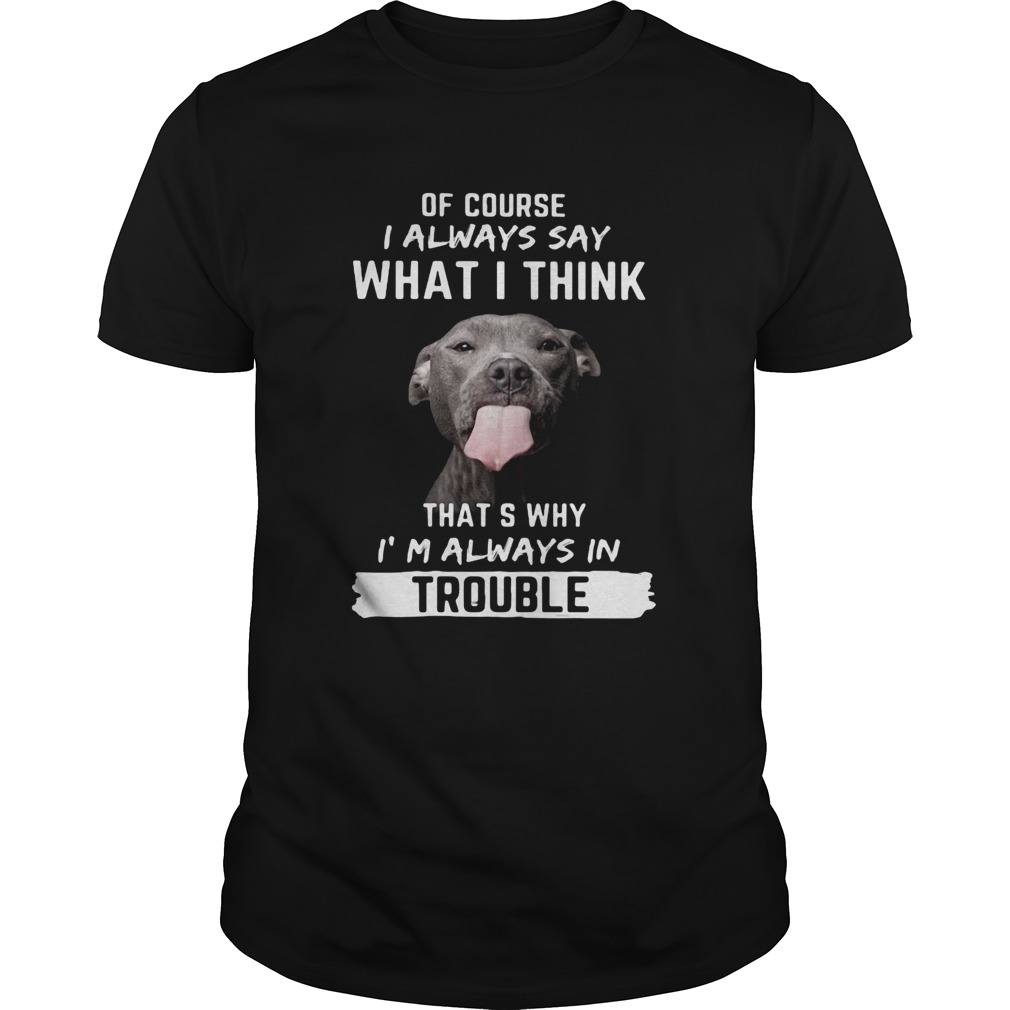 Pitbull of course i always say what i think thats why im always in trouble shirt