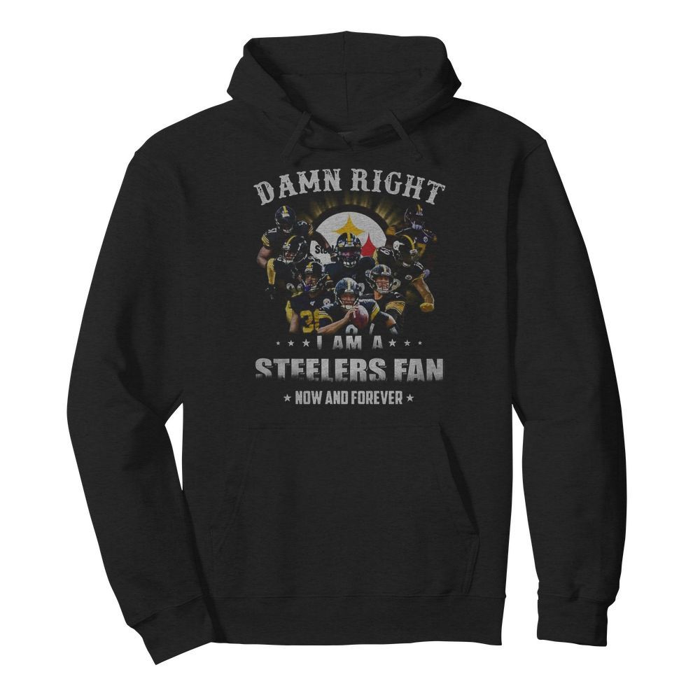 Pittsburgh Steelers Damn Right I Am A Steelers Fan Now And Forever  Unisex Hoodie